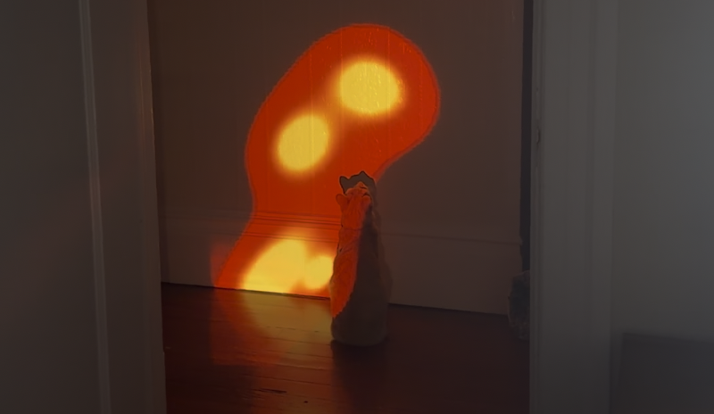 Cat TV